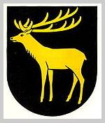 Sturmgewehr- und Gewehrschiessen